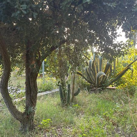 Villa Vittoria Trappeto  Exterior photo