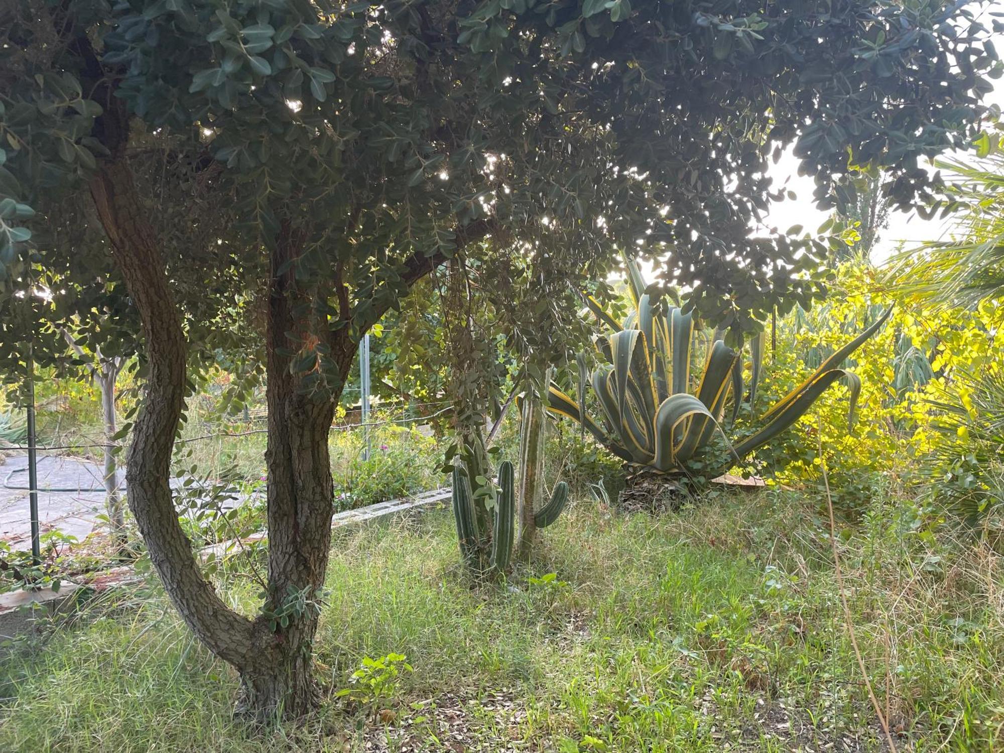 Villa Vittoria Trappeto  Exterior photo